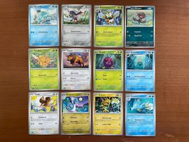 Pokemon 12er Karten Set (Versand gratis)