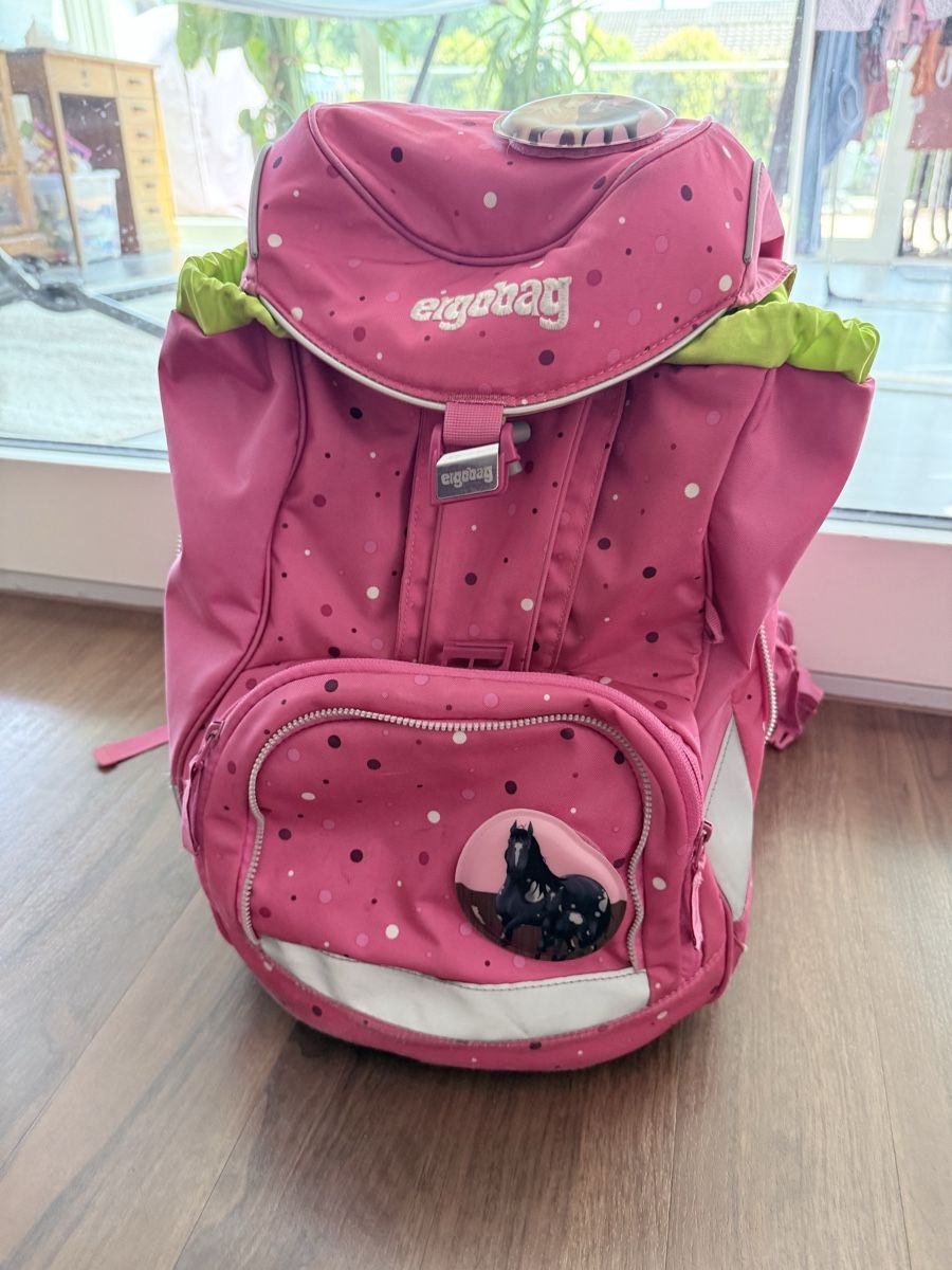 Ergobag Sacs & sacs à dos: Schulthek Ergobag  – D'occasion à Beromünster par SteKras 1