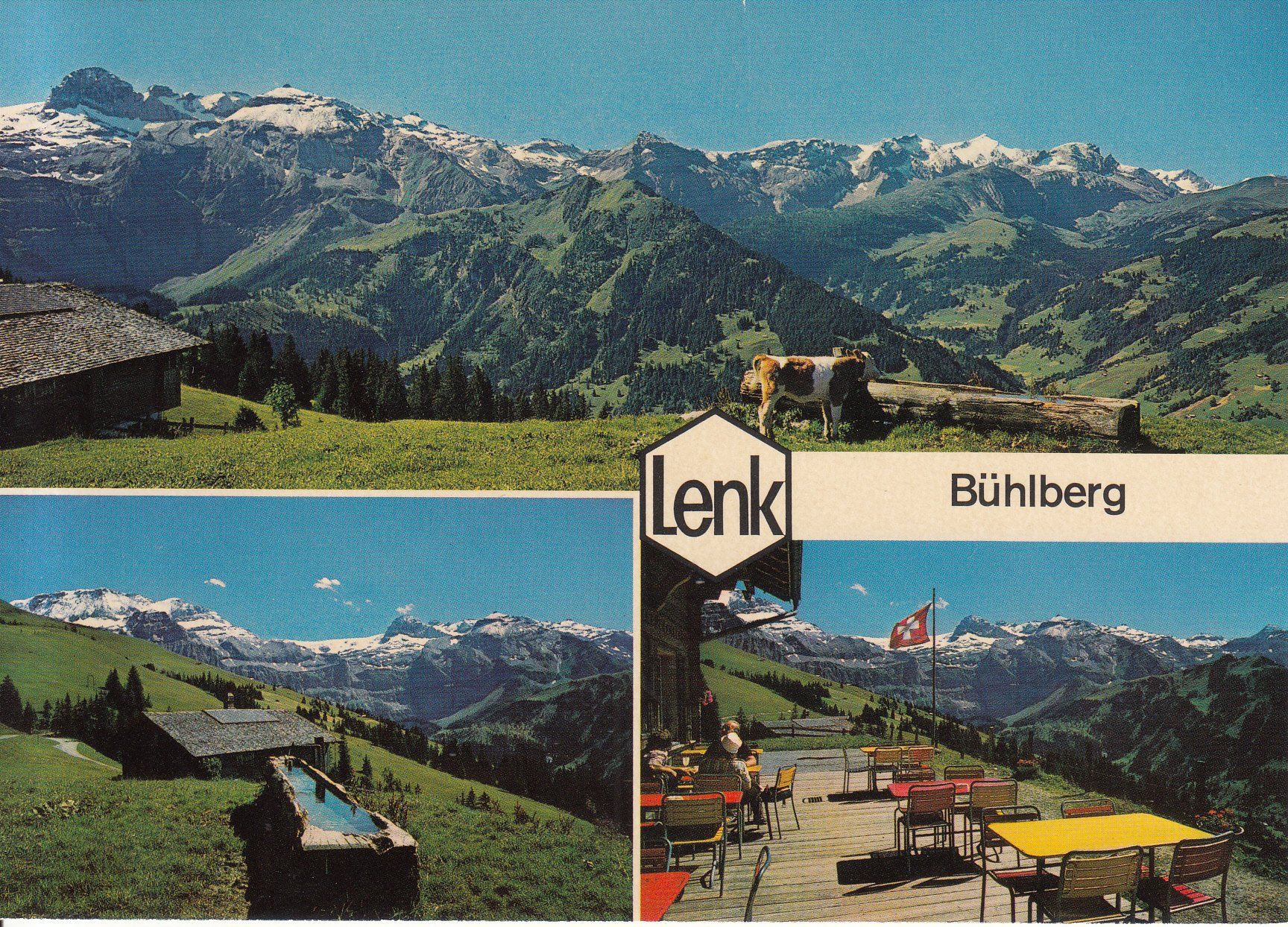 Cartoline postali: Lenk Bühlberg ca. 1970 – Usato da Bürglen TG venduto da StampGraf
