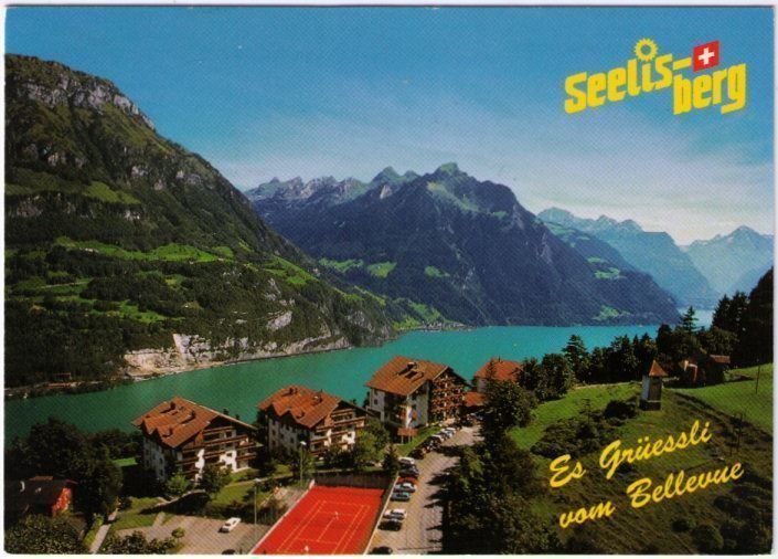 Cartoline postali: Seelisberg – Usato da Binningen venduto da Mountainrider