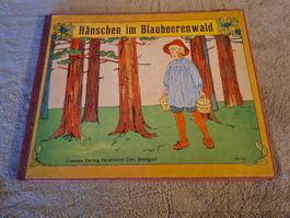 Antikes Bilderbuch "Hänschen im Blaubeerenwald" Top Zustand