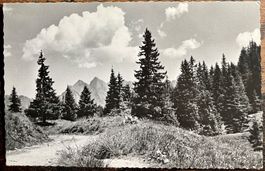 FLUMSELBERGEN - 1949