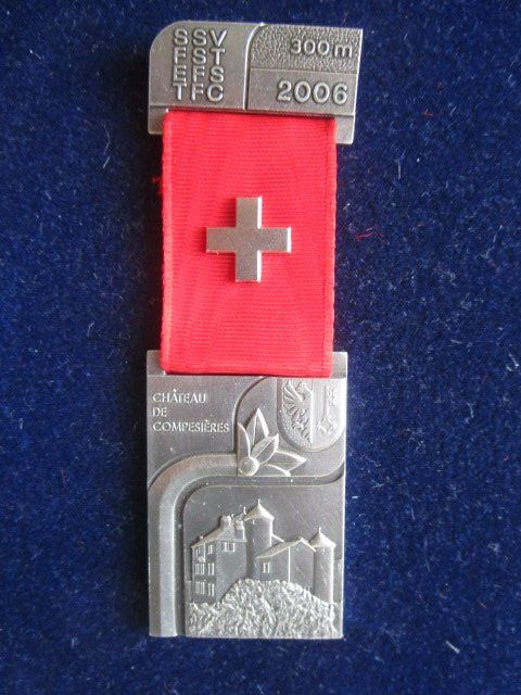 Medaglie: 3 X Eidg. Feldschiessen 300 Meter 2002 - 2006 - 2007 – Nuovo (secondo la descrizione) da Luzern venduto da Horoskop1 2