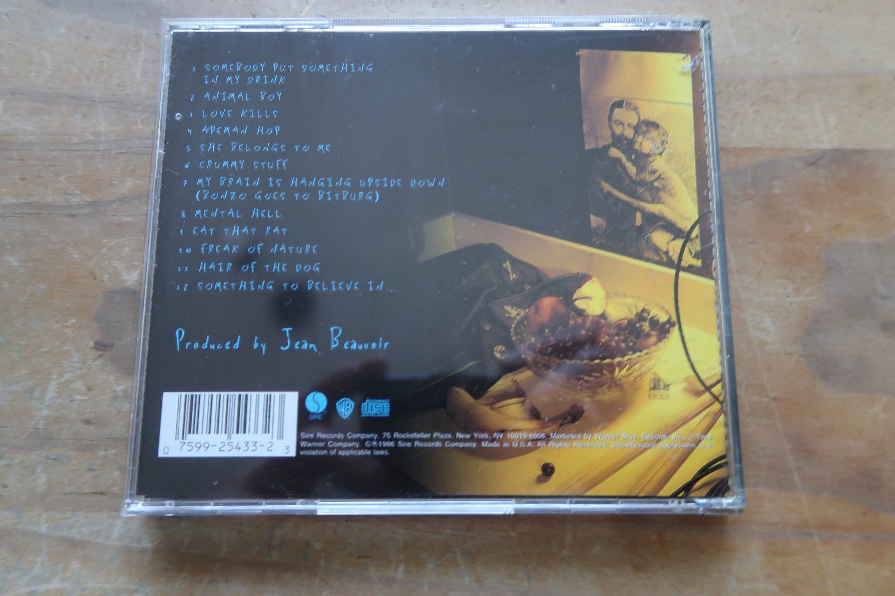 CD: THE RAMONES - ANIMAL BOY - CD – Usato da Basel venduto da Patiscat 1