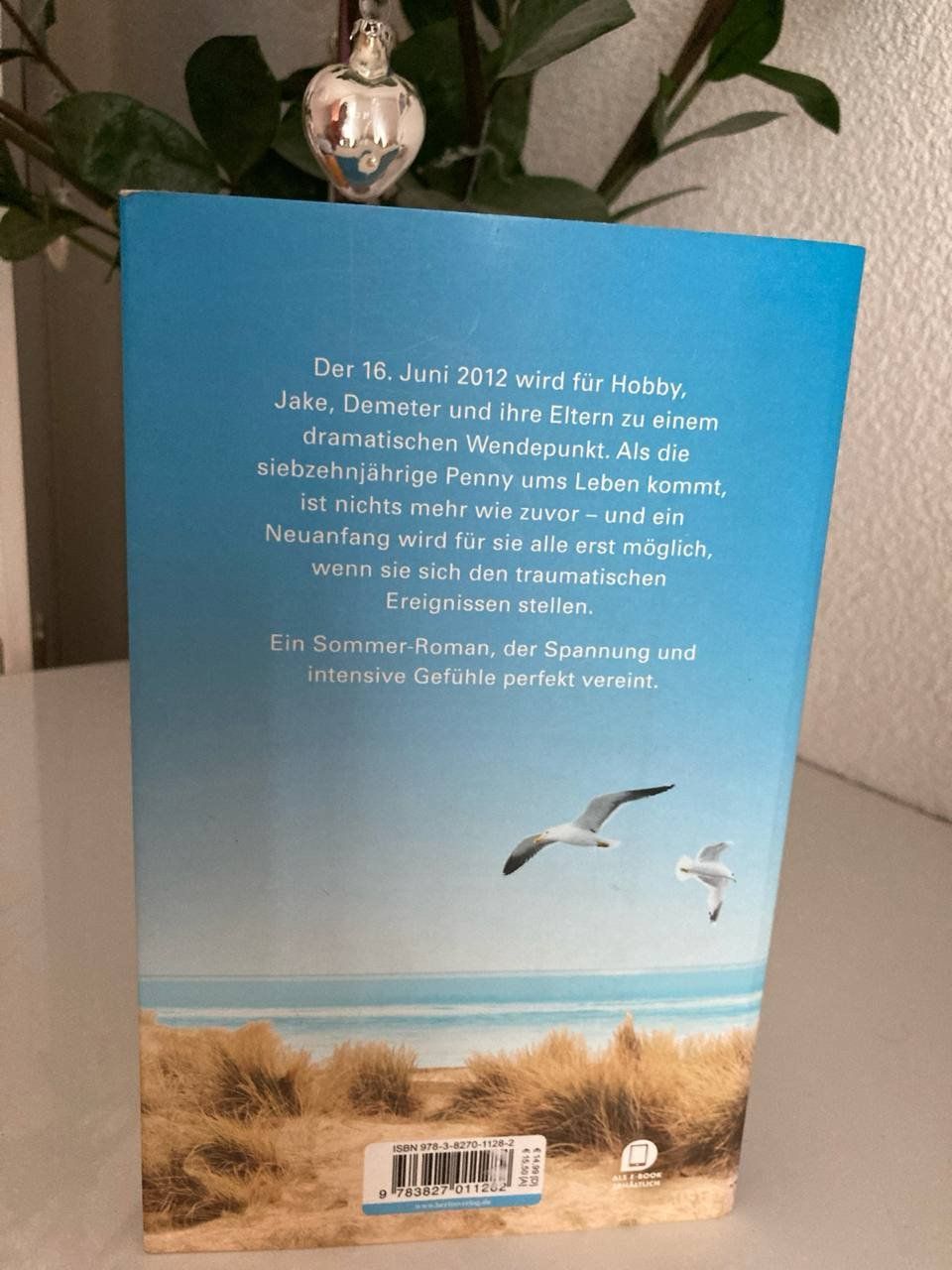 Bücher: Ein Tag im Sommer: Roman – Gebraucht aus Frauenfeld von SCHATZtruhe369 1