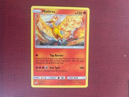 Pokemon Moltres Holo Team Up englisch near Mint