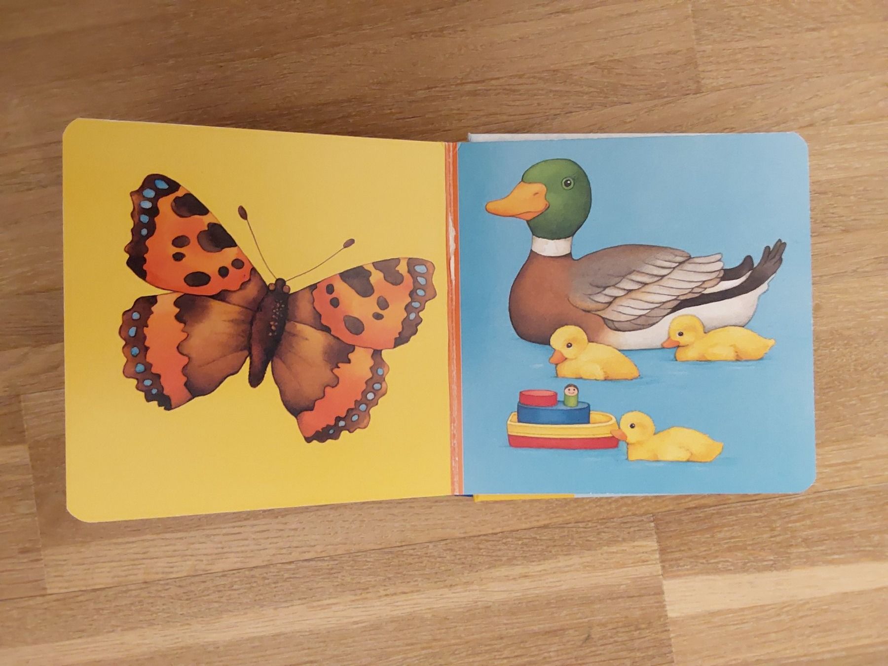 Bücher: Kinder Bücher – Gebraucht aus Wallisellen von Wallisellen77 8
