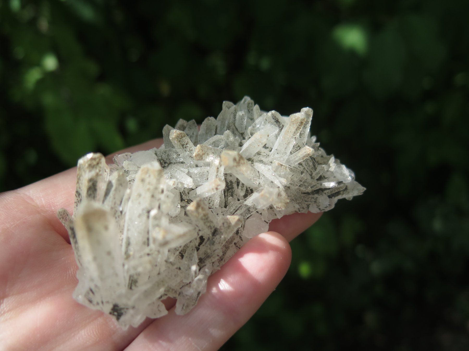 Minerali & Pietre curative: Bergkristall mit Chlorit von Mexico – Usato da Schaffhausen venduto da Yamakana51L8736OQ8 4