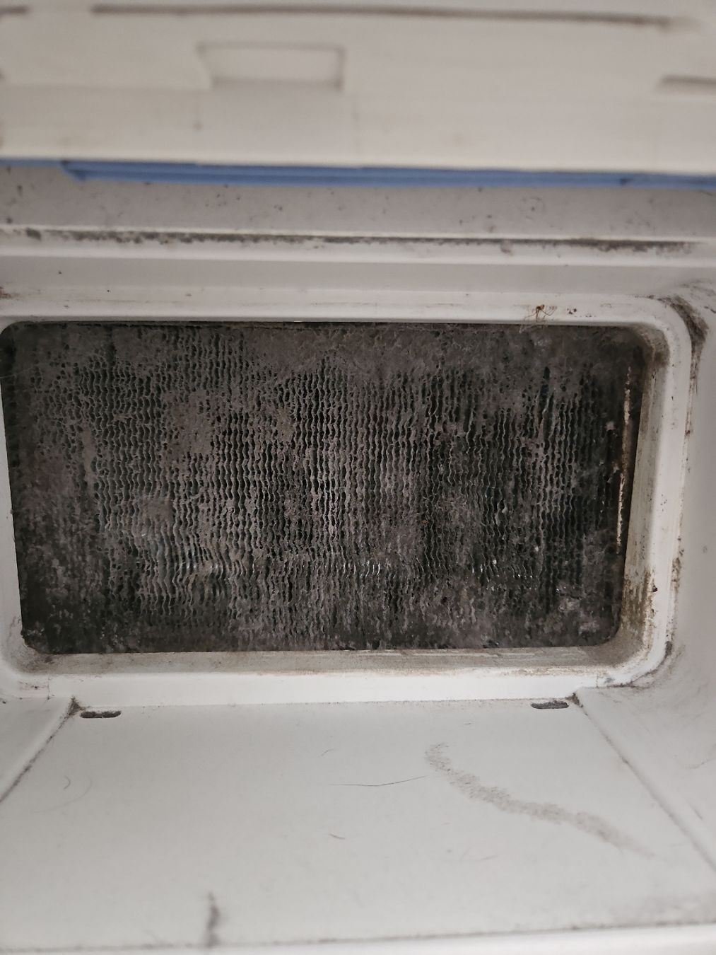 Haier Asciugatrici: tumbler Haier 7kg  – Usato da Wil SG venduto da Babue69 1