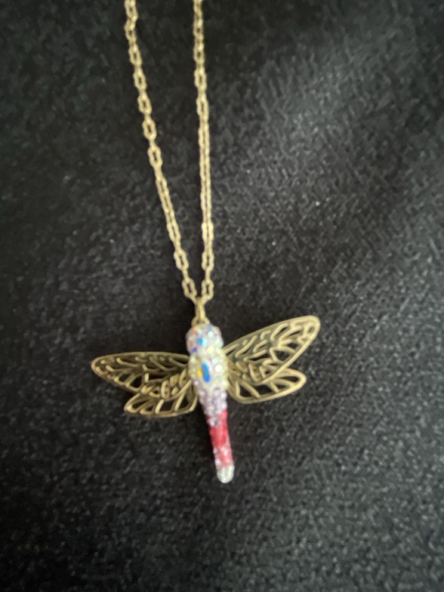 Swarovski Ketten: Swarovski Kette mit Libellen Anhänger – Neu (gemäss Beschreibung) aus Winterthur von sch_yc9l 1