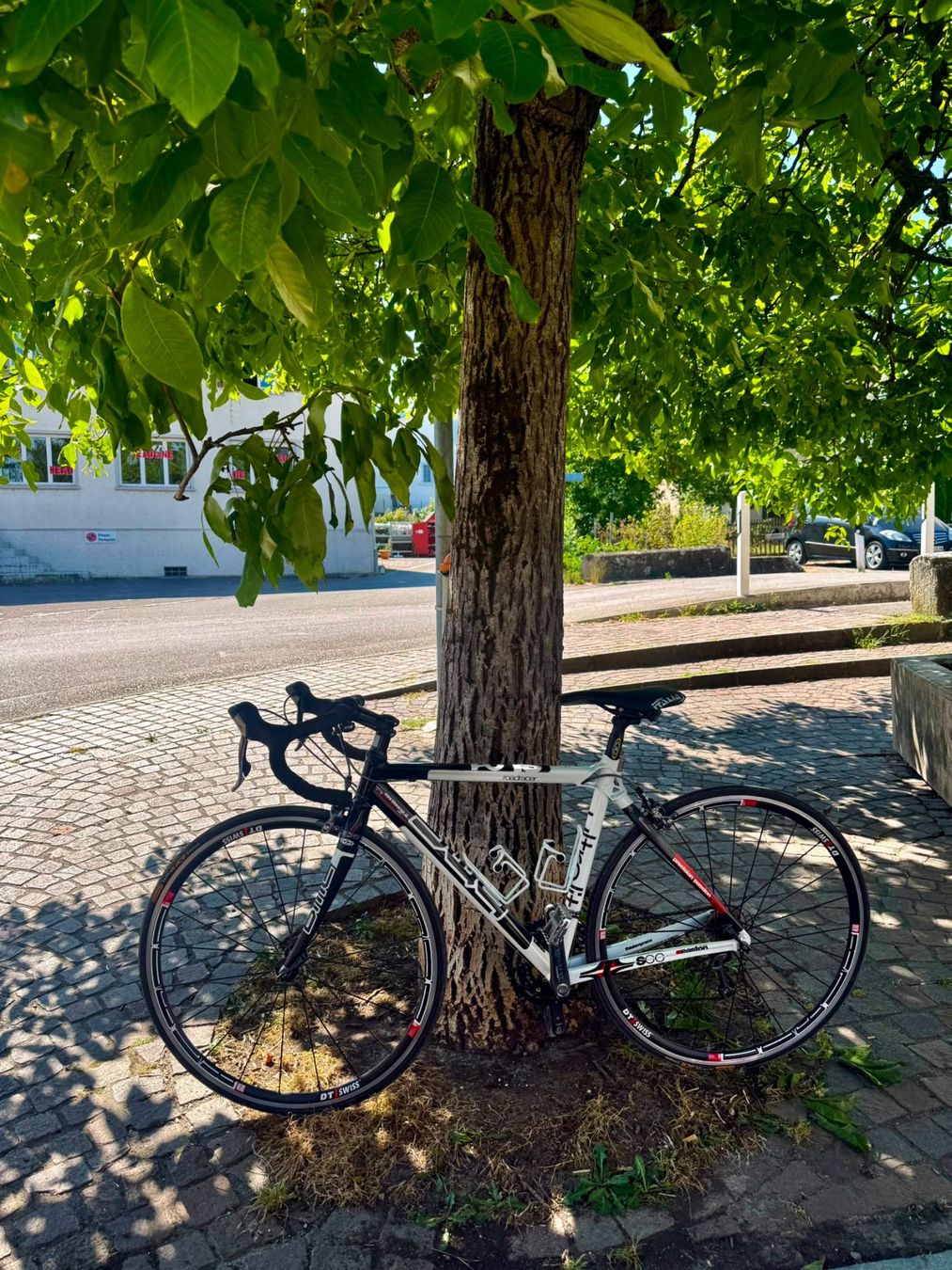 Biciclette: Rennvelo BMC – Usato da Spreitenbach venduto da Subswiss 1