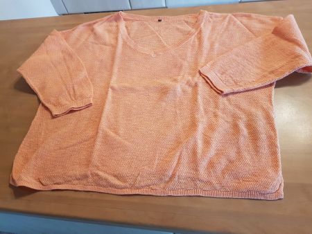Pull col en V taille L marque Chicorée 70% coton