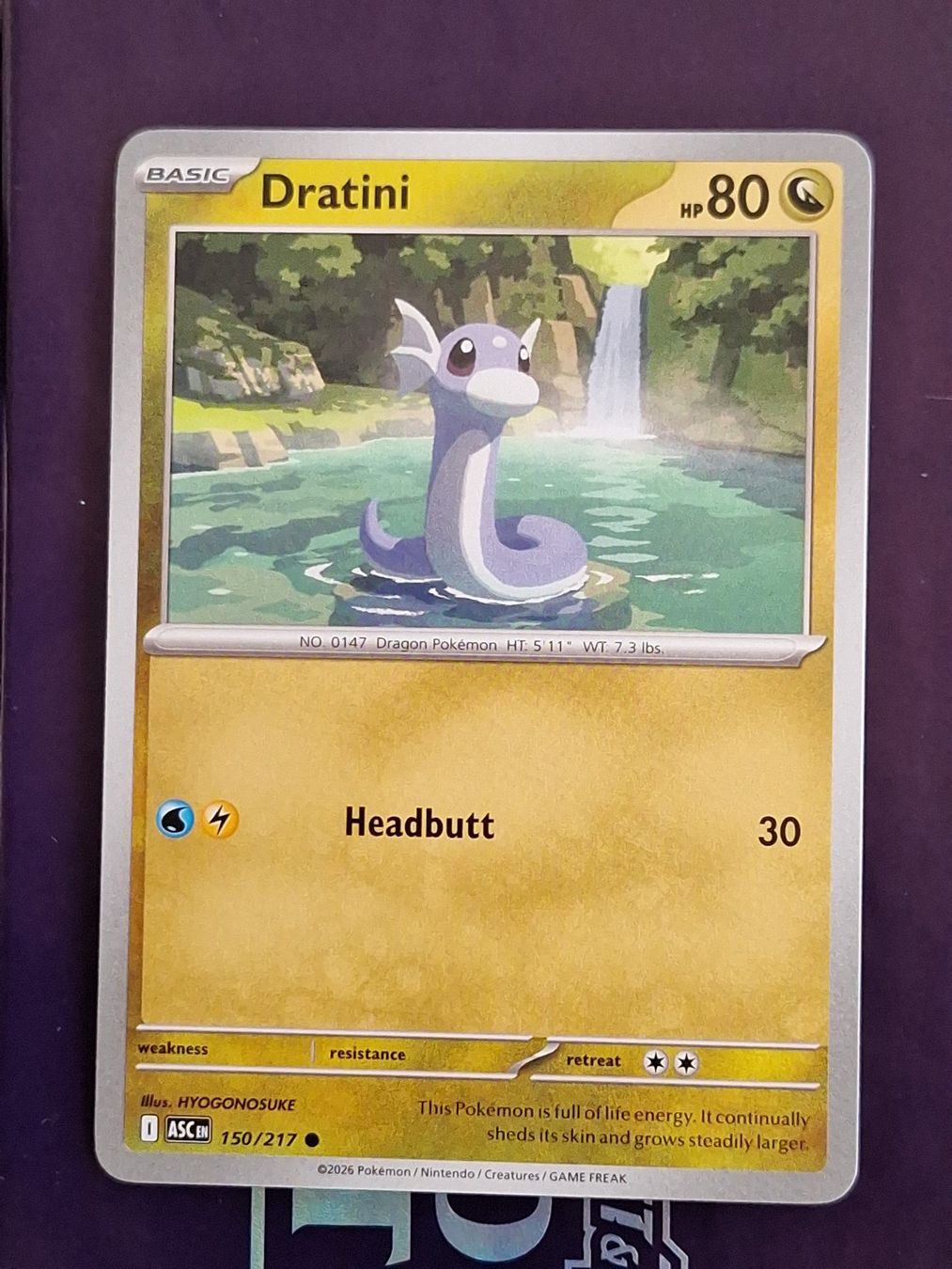 Pokémon Carte collezionabili: Dratini - Pokemon Ascended Heroes – Usato da Altstätten SG venduto da GGsGameshop