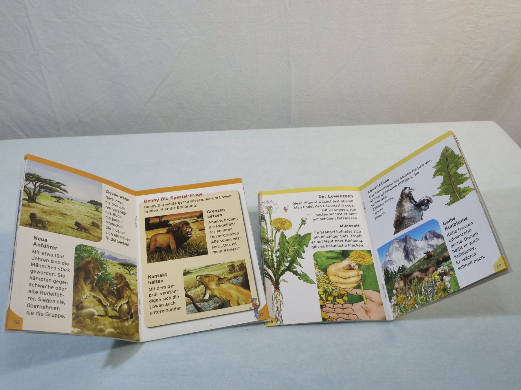 Bücher: Lot:6 verschiedene Büchlein: Benny Blu – Gebraucht aus Lustmühle von Glatisant 2