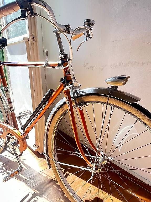 Biciclette: Vélo Peugeot – Usato da Locarno venduto da batbaloo 2