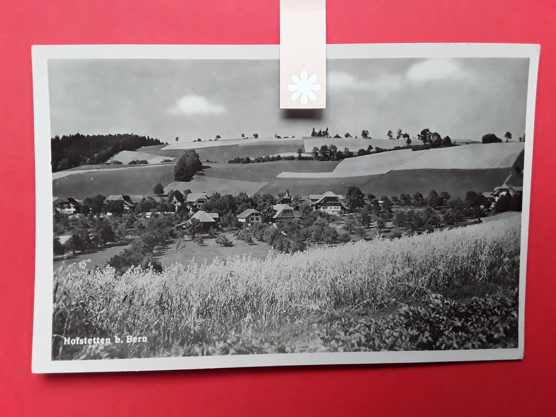 Cartoline postali: AK - HOFSTETTEN B. BERN – Usato da Bilten venduto da konrad7321 1