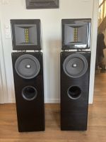 Ascendo ZF3 SE Lautsprecher