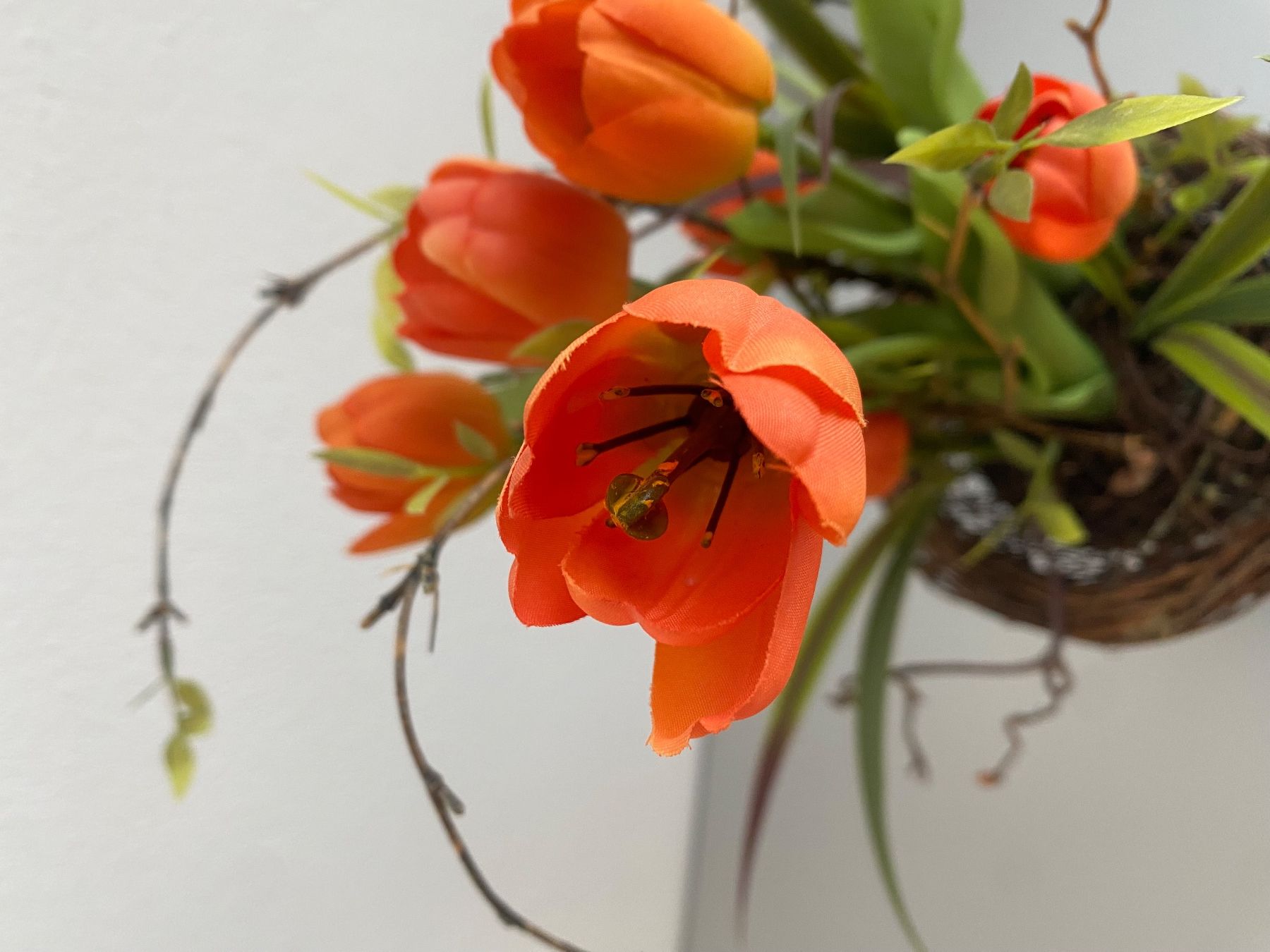 Tutte le decorazioni: Frühlingsdeko mit Tulpen - orange – Usato da Gerolfingen venduto da Regenbogen88 5