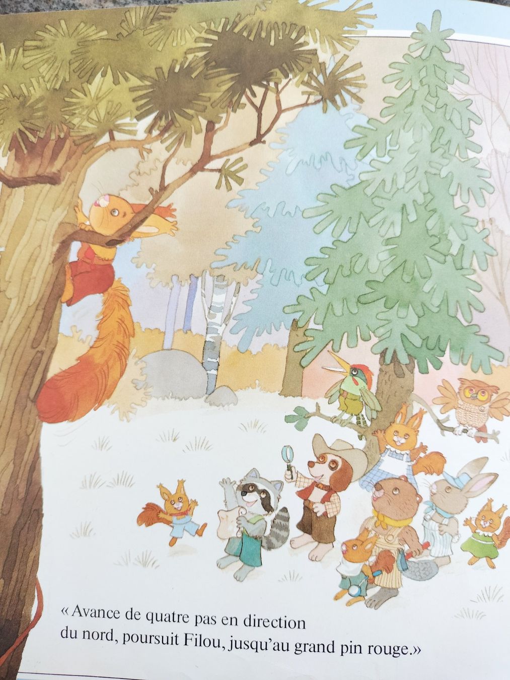 Libri: Pirouette L'Ecureuil dès 3 ans – Usato da Cortaillod venduto da rozinna 9