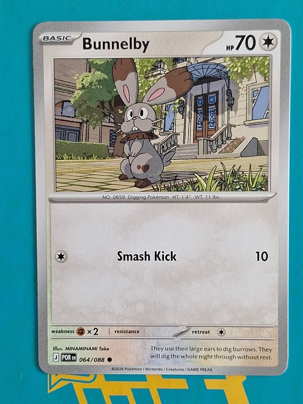 Pokémon Carte collezionabili: Bunnelby - Pokemon Perfect Order – Usato da Altstätten SG venduto da GGsGameshop
