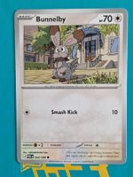 Bunnelby - Pokemon Perfect Order