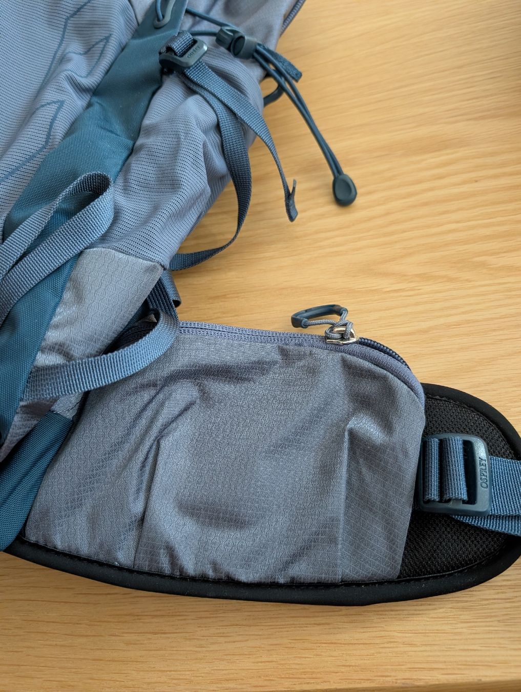 Osprey Sacs à dos: Osprey Rucksack - 1x getragen – Neuf (Voir description) à Bern par elizie 1
