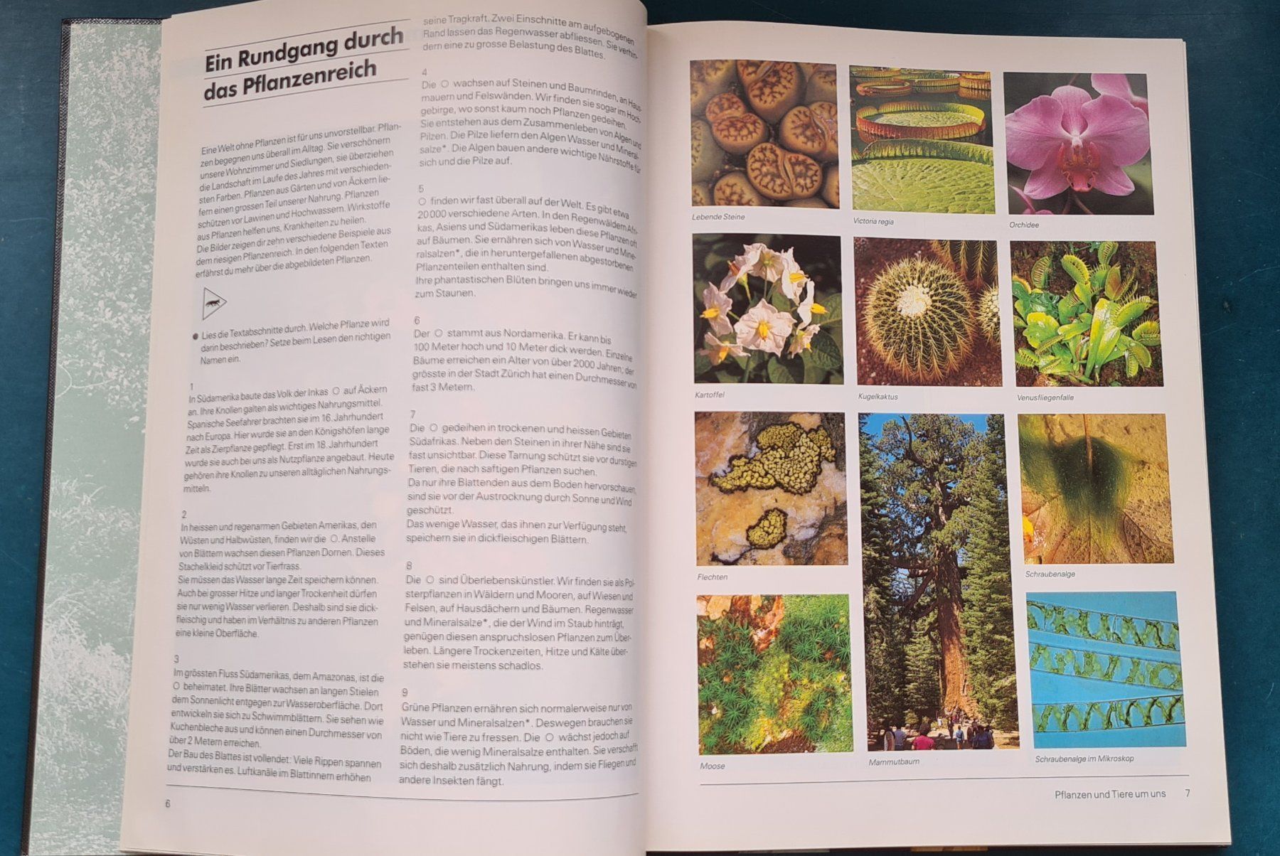 Libri: Naturspuren – Nuovo (secondo la descrizione) da Winkel venduto da Tongabonga 4