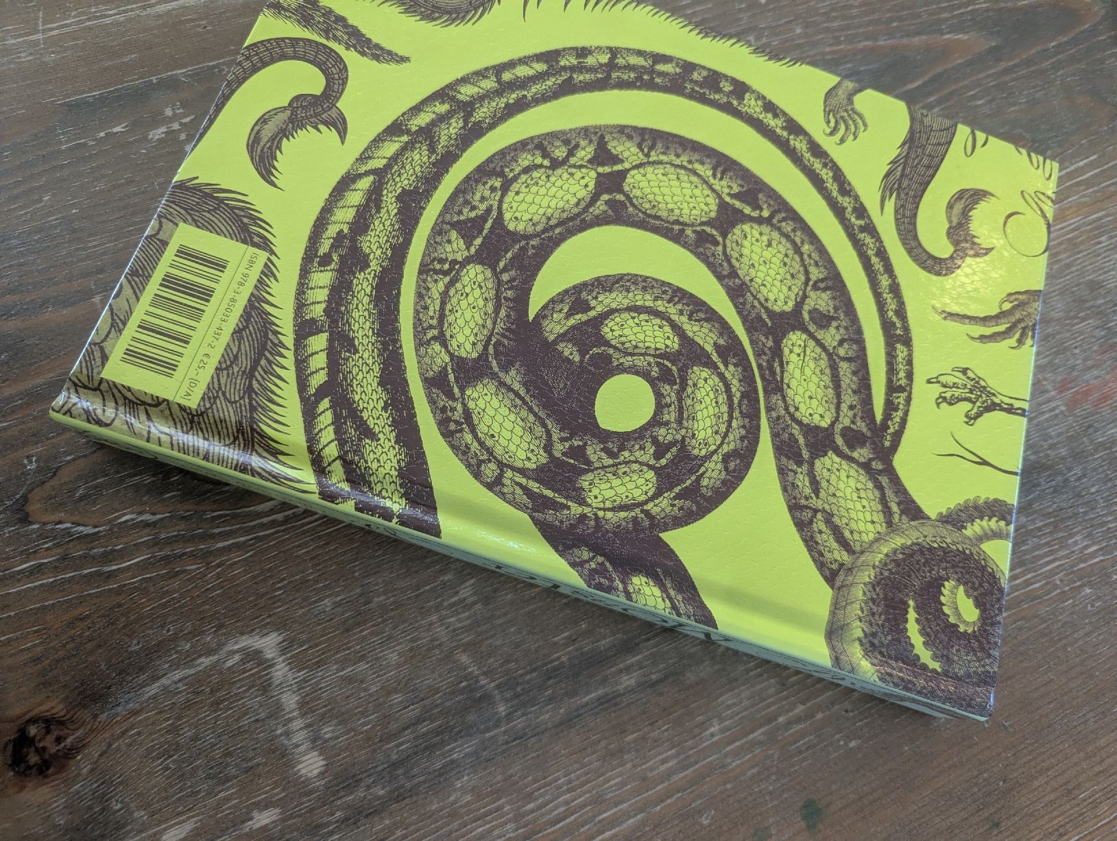 Libri: Monster: Dämonen, Drachen & Vampire - Christopher Dell – Usato da Erlinsbach SO venduto da Meytalien 1