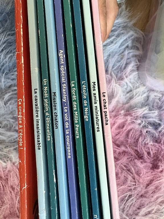 Bücher: Livre audio avec CD  – Gebraucht aus Echallens von warnioc 1