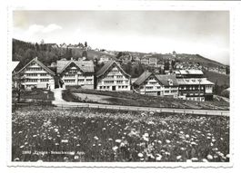 Trogen (AR) Neuschwendi - Wohnhäuser - Foto-AK Gross um 1950
