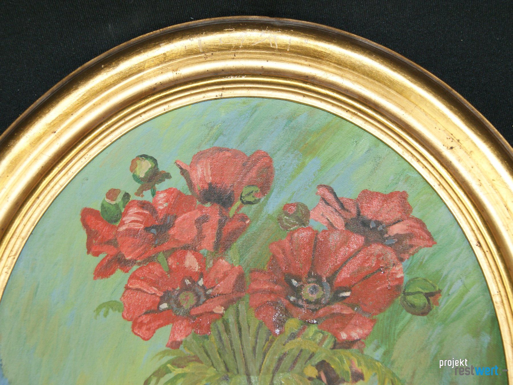 Posters & Illustrations: Mohnblumen Bild – D'occasion à Bülach par restwert_buelach 2