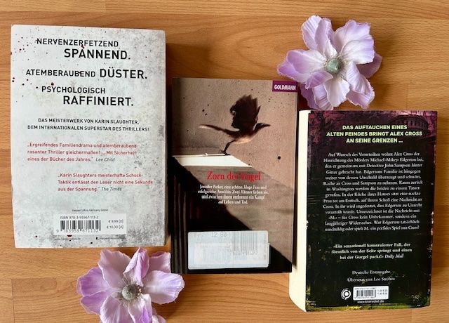 Bücher: Cody Mcfadyen, Iris Johansen, Karin Slaughter,Sidney Sheldon – Neu (gemäss Beschreibung) aus Bern von Denzel8 4