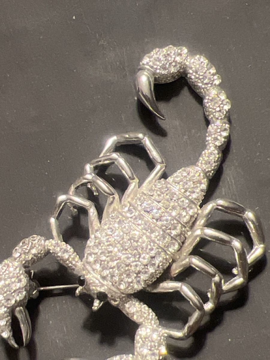 Broschen & Nadeln: Scorpion Brosche – Gebraucht aus Seon von Sunny-Schmuck78 1