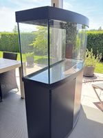Juwel Aquarium 260l mit Gestell