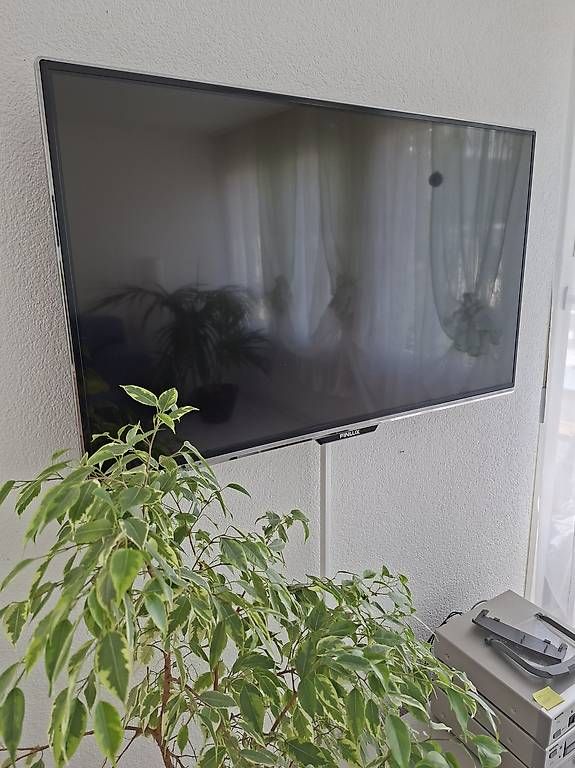 Televisori: TV – Usato da Ipsach venduto da Kat3uh