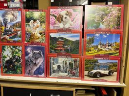 Castorland 10 x Puzzel verschiedene Motive 500-Teile
