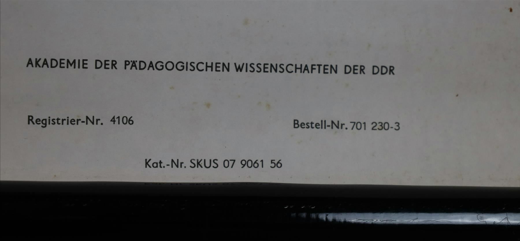 Foto & Immagini: Schulwandbild "Die Zelle" – Usato da Birrwil venduto da brandschatz_birrwil 3