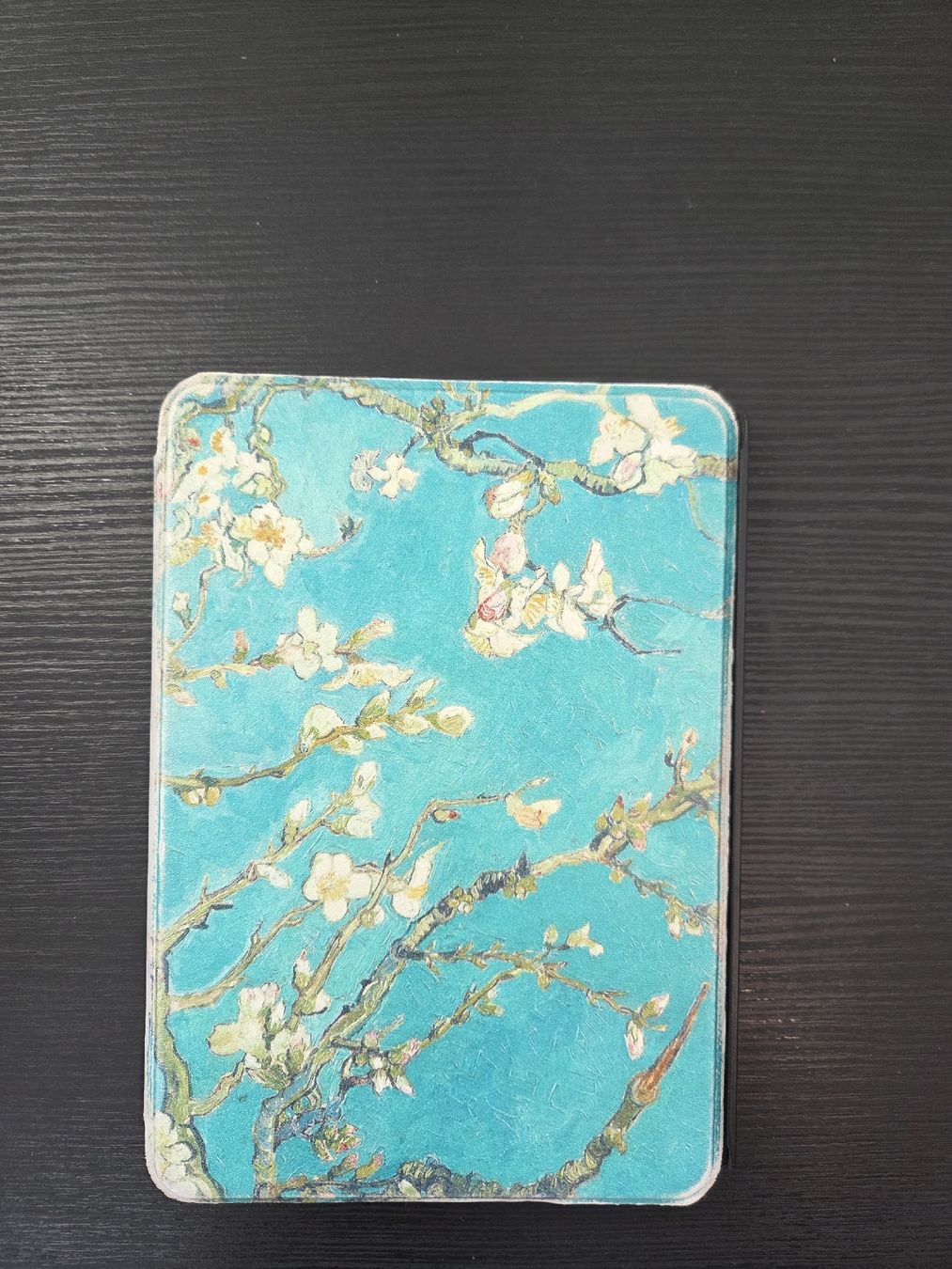 Cover & Protezioni schermo: cover kindle paperwhite 10th van gogh – Difettoso da Nyon venduto da direwolf97