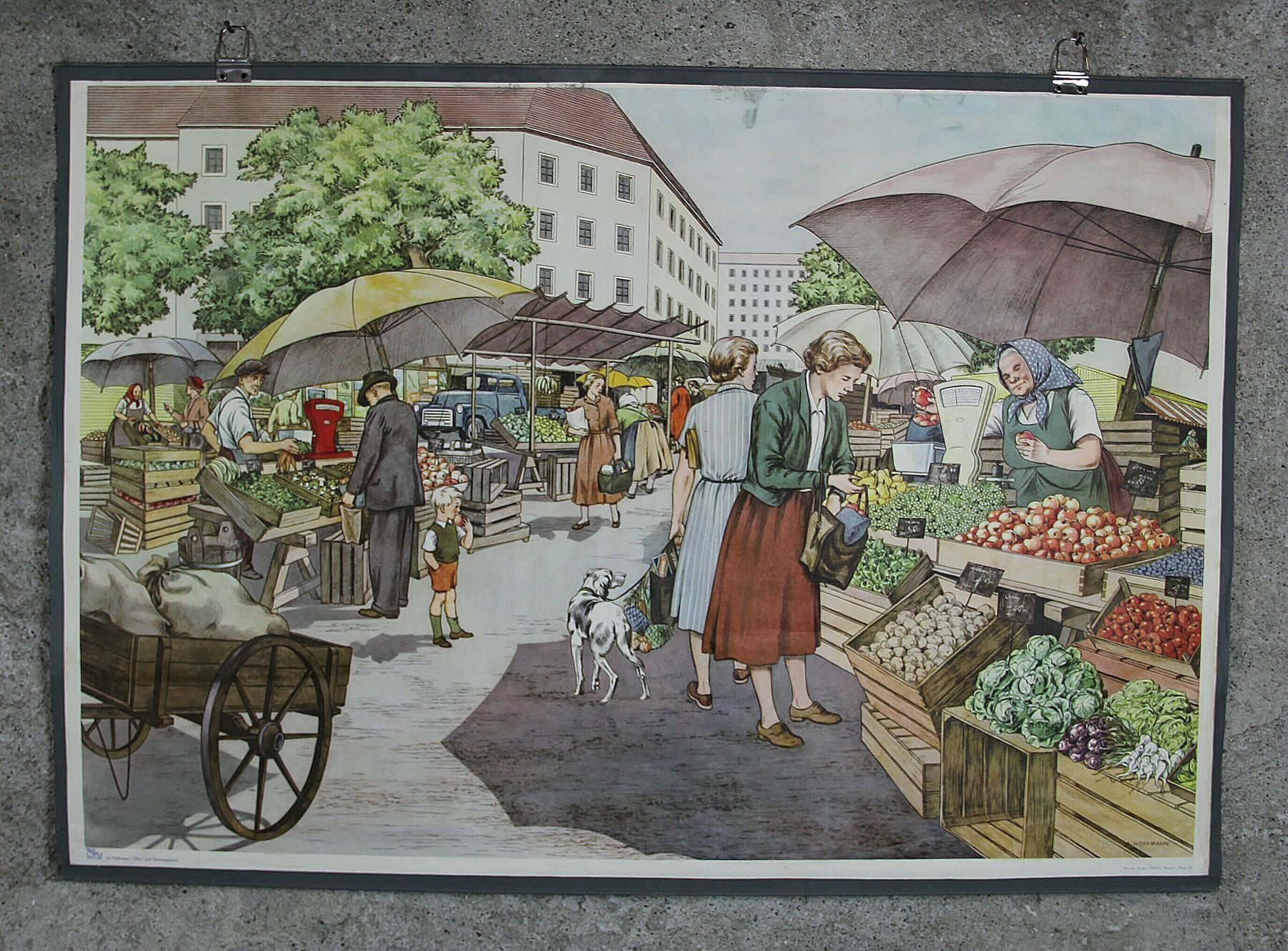 Foto & Immagini: Schulwandbild "Obst- und Gemüsemarkt" – Usato da Birrwil venduto da brandschatz_birrwil 1