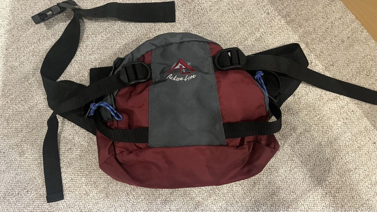 Borse: Active Line Bauchtasche, neuwertig – Usato da St. Gallenkappel venduto da Iillifee