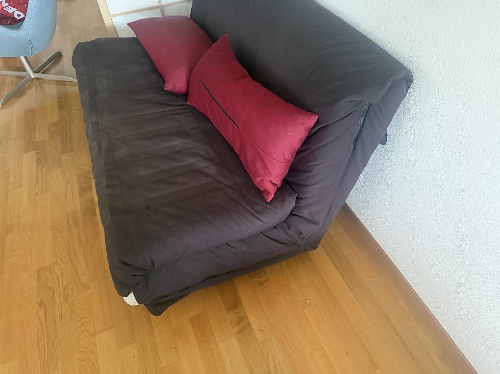 Sofas: De Sede DS-76 Schlafsofa / Designklassiker – Gebraucht aus Urdorf von ced_2mmc