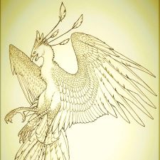 Profile image of phoenix1