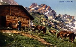 Auf der Alp, weidende Kühe, Sennen und Alphütte