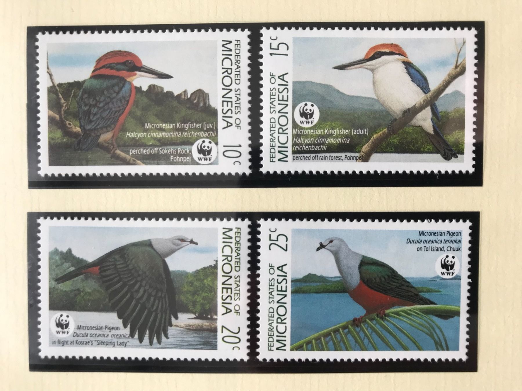Tutti i francobolli: WWF Mikronesien 1990 Eisvogel Fruchttaube Satz postfrisch – Nuovo (secondo la descrizione) da Liestal venduto da schnueps