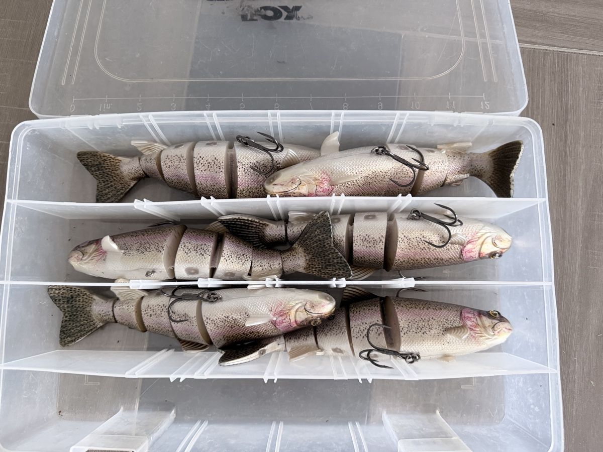 Esche: Leurres Fox Rage Realistic Trout 23Cm  – Nuovo (secondo la descrizione) da  venduto da