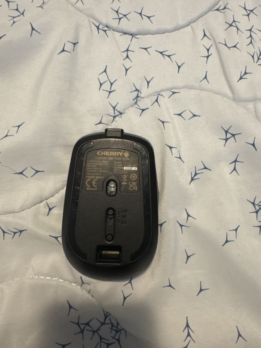 Mouse: Cherry DW 9100 Slim Mouse without Dongle – Usato da Hünenberg venduto da lag_2nxr 1