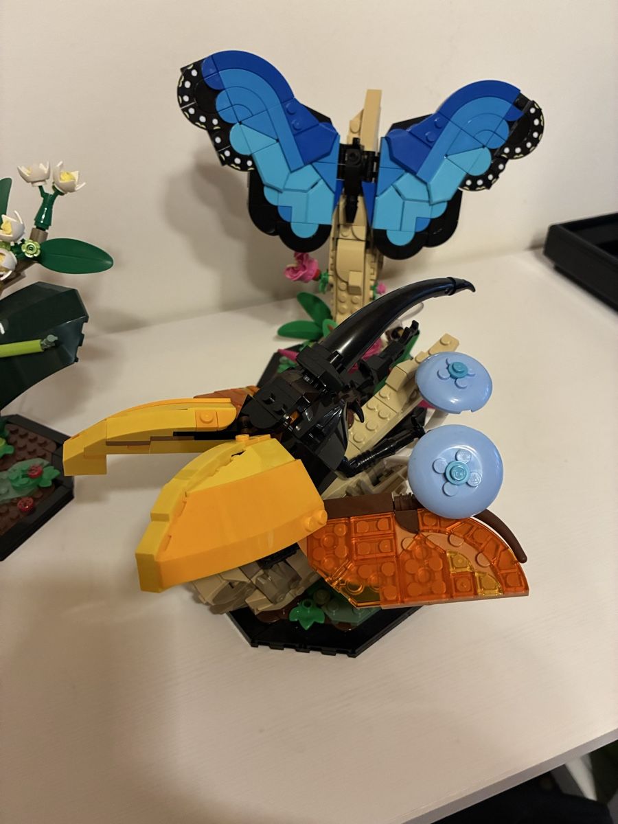 Lego Kit di costruzioni: Lego Insektensammlung 21342 – Usato da Speicher venduto da spla03 2