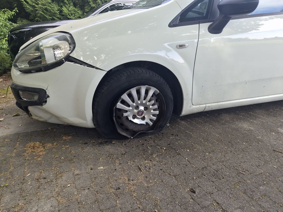 Fiat Autos: Fiat Punto für Teile oder Export – Défectueux à Hombrechtikon par hug_5syk 1