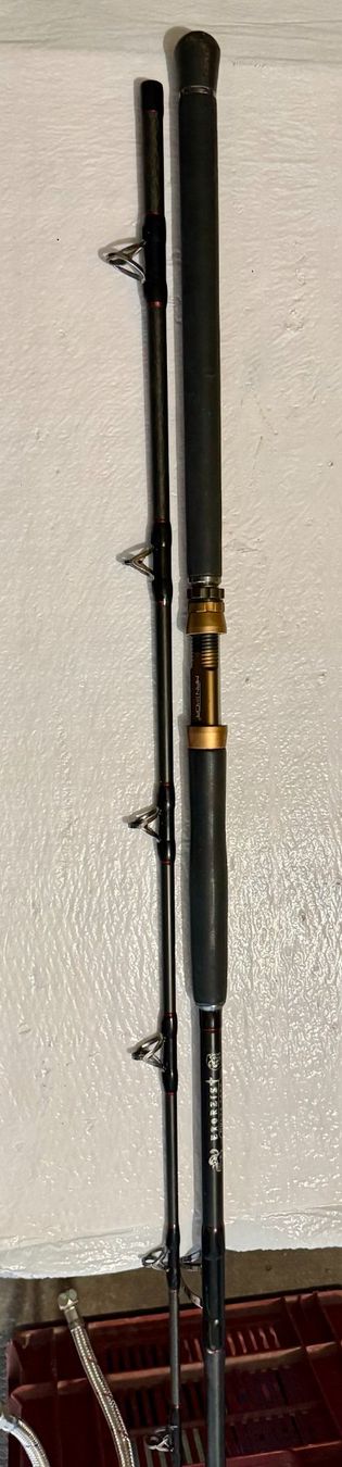 Canne da pesca: Mantikor Exorzist Multi Task Wallerrute 250-450g – Usato da Basel venduto da stan72