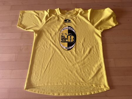 BSC Young Boys YB Vintage Trikot Shirt Gems